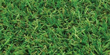 Artificial Grass